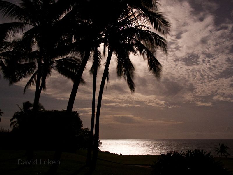 Moon over golf course in Kauai