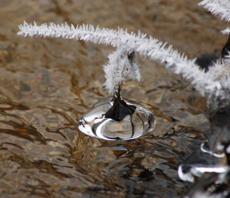 Frosty stick over a winter creek