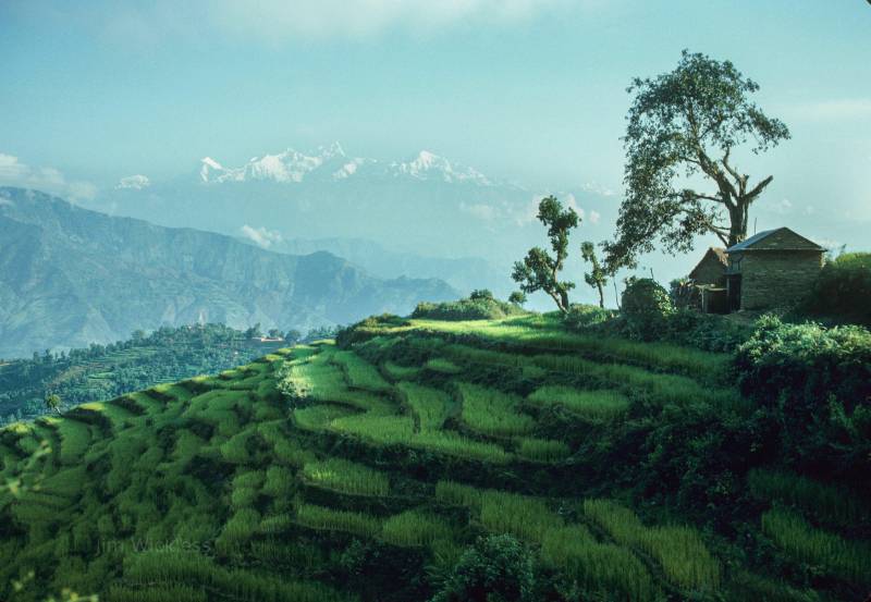 Near Arughat Bazar Nepal