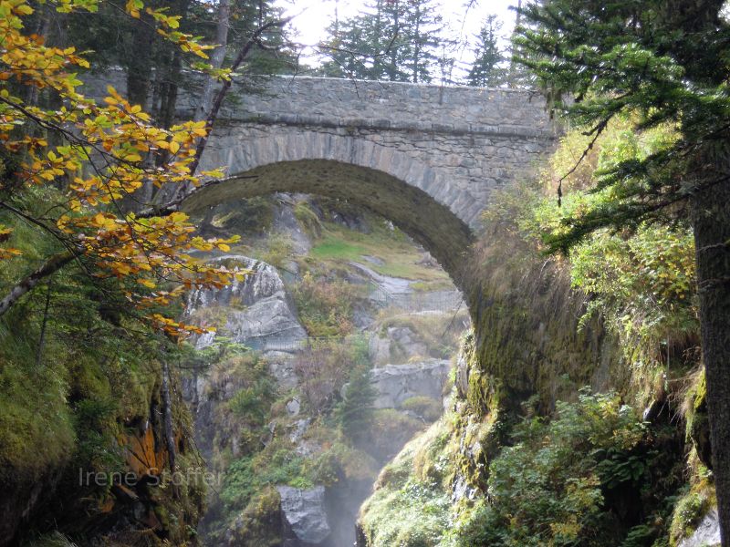 Pyrenees