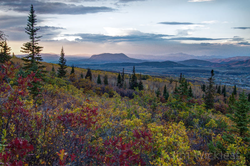 Gorgeous Autumn landscape in Steamboat Springs, Colorado