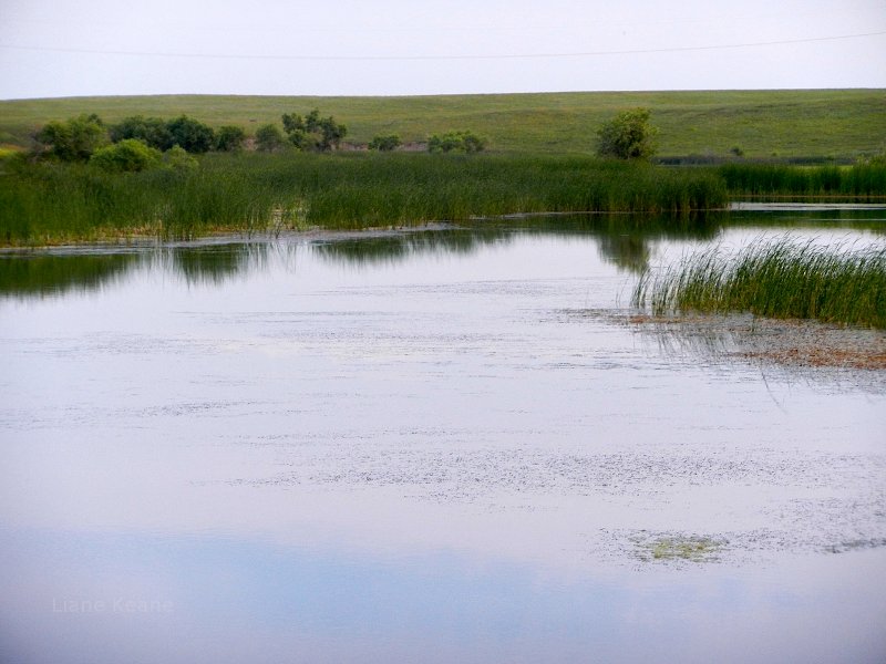 Pond and a Prairie