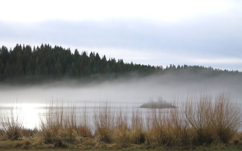 Fog over lake