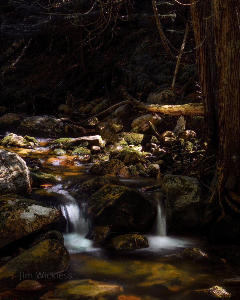 Stream in Acadia National Park, Maine