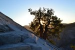 Hike up Half Dome at Yosemite National Park