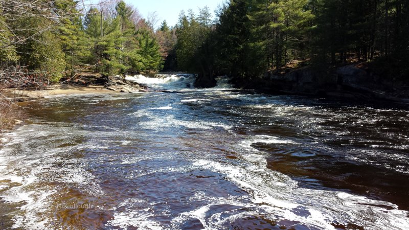 Small waterfall or large rapids