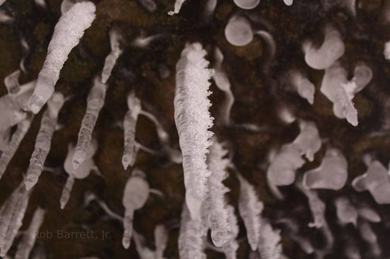 Multitudes of hanging ice cycles.