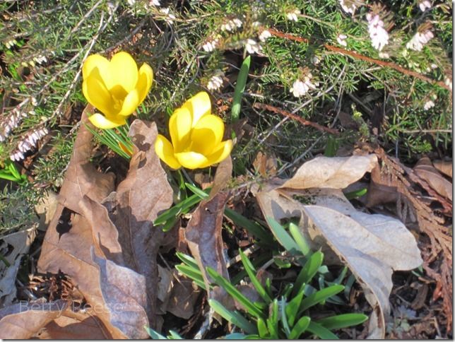 Spring comes to British Columbia