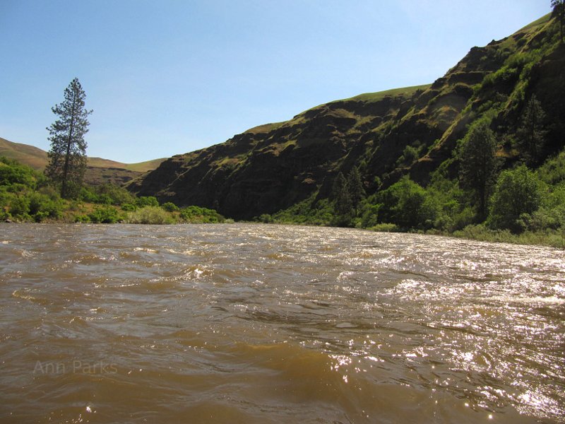 Rafting in Washington