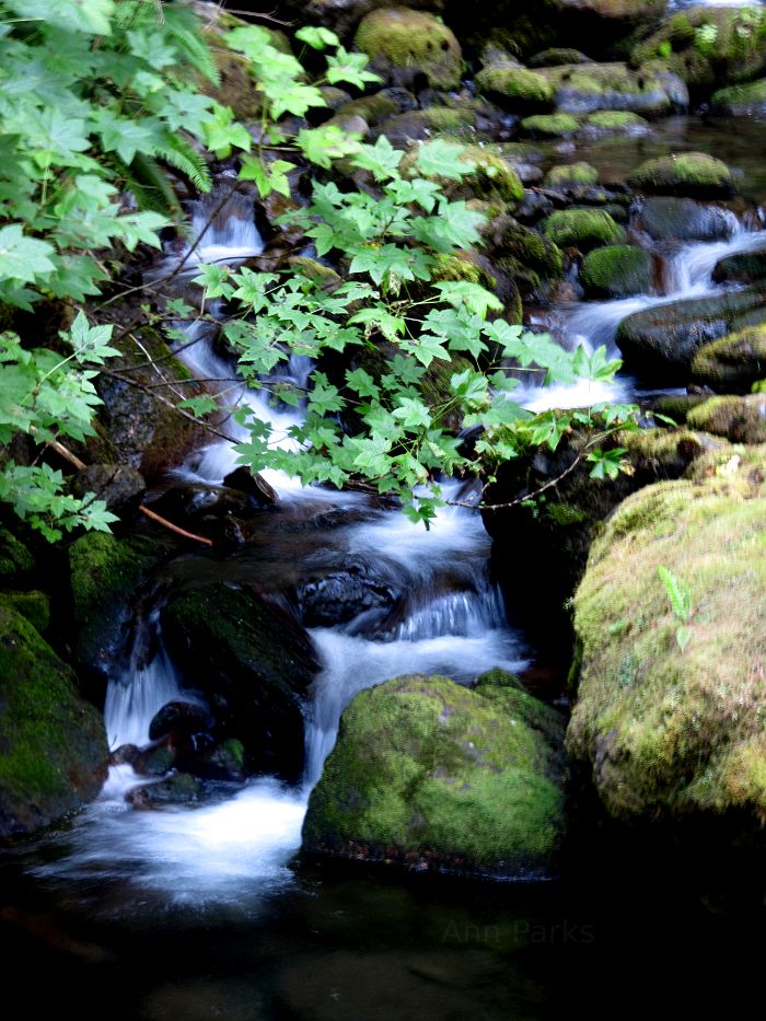 Mountain stream