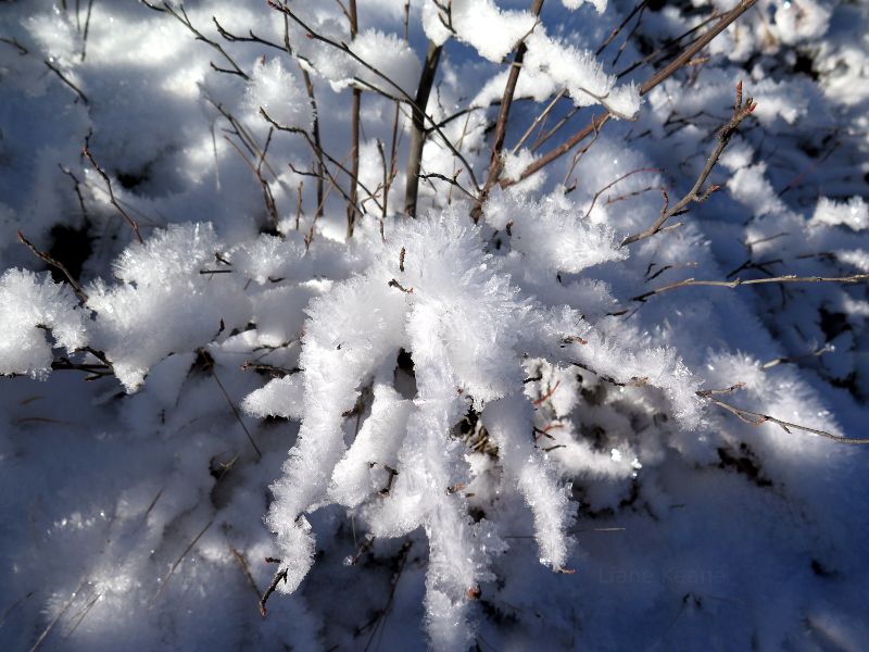 Ice and Snow come to Montana