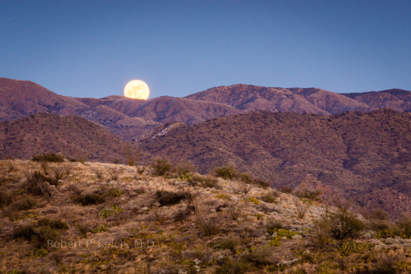 Gorgeous Moonrise in the Arizona desert
