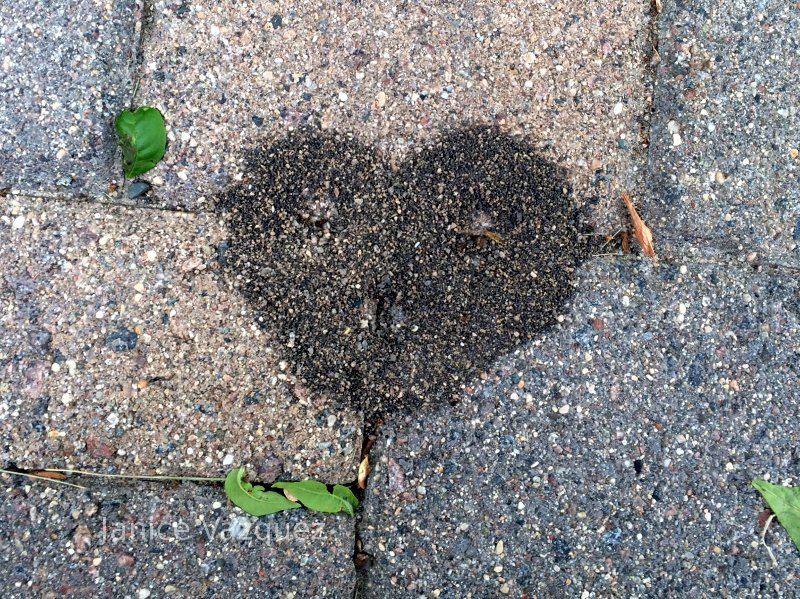 Gravel in a heart shaped pile.