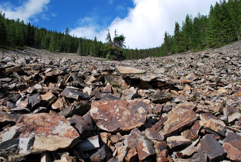 Rocky Mountains, Montana