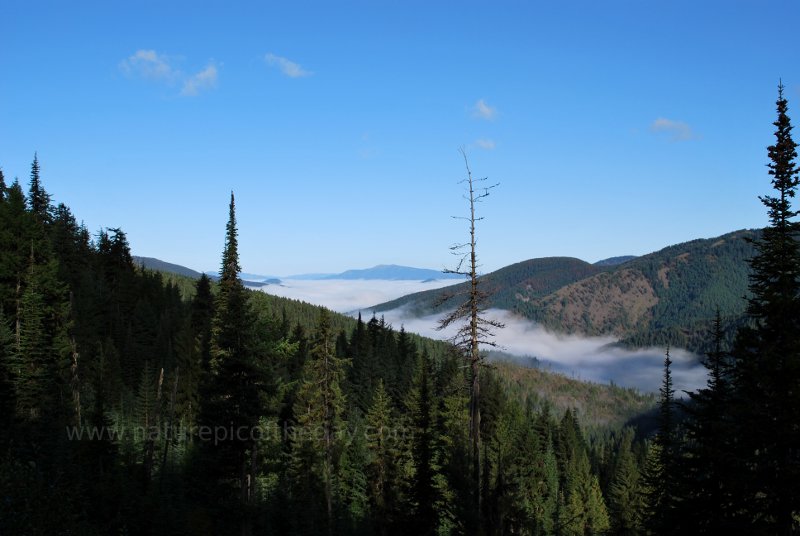 Cloud filled valley