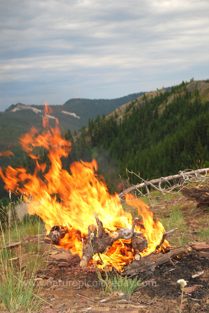 Camp Fire On The Rocky Mountains