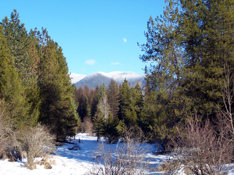 Snow in Montana