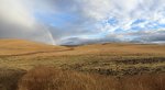 Rain Shower and rainbow over Idaho farm fields