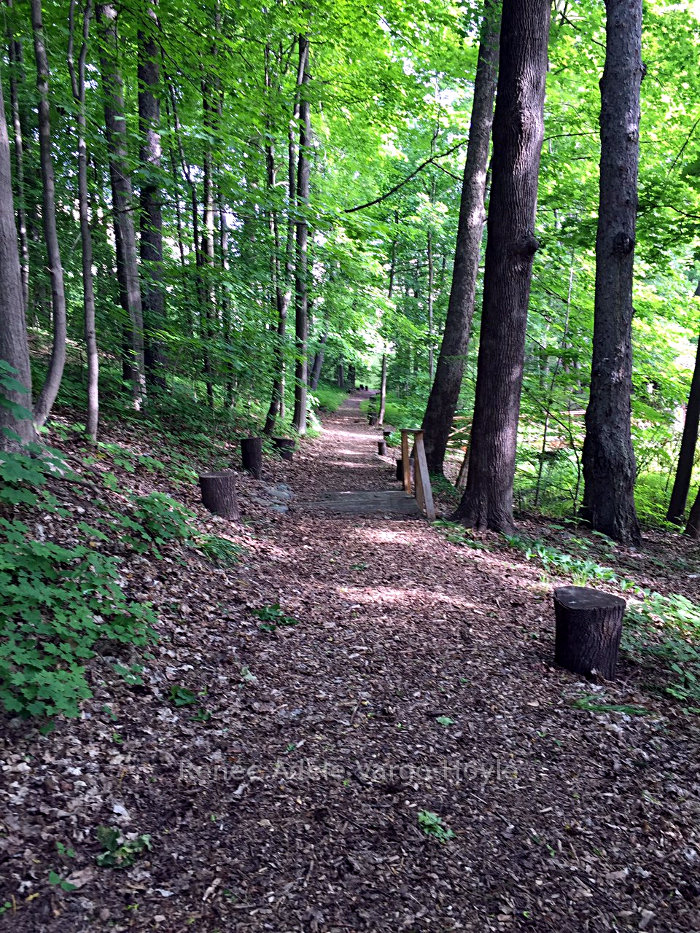 Wooded path in Nazareth, PA