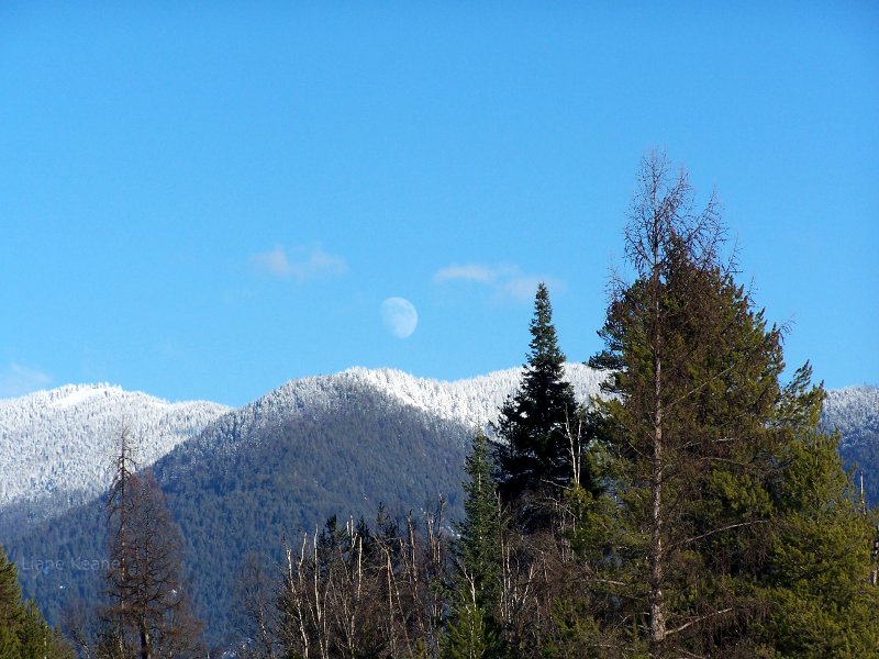 Moon in Montana