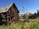 Old barn in Idaho