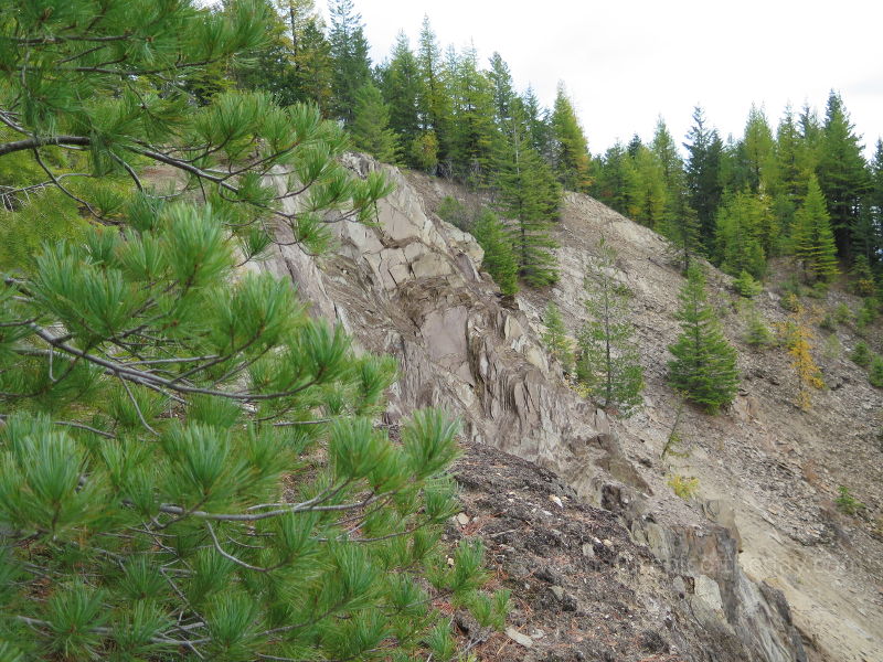 Mica in Idaho.