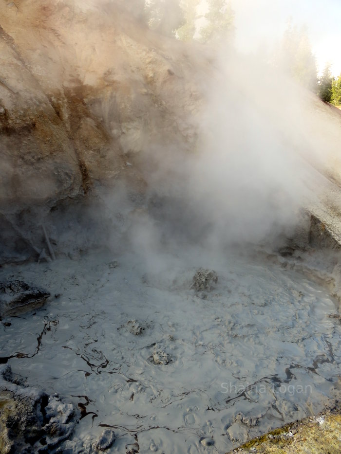 Mudpit in Lassen