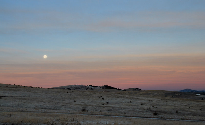 Full Cold Moon, Supermoon of December 2017