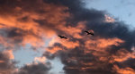 Beautiful sunset shot of pelicans in Minnesota