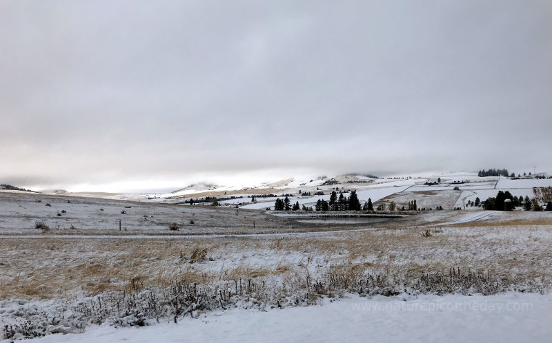 Snow in Idaho