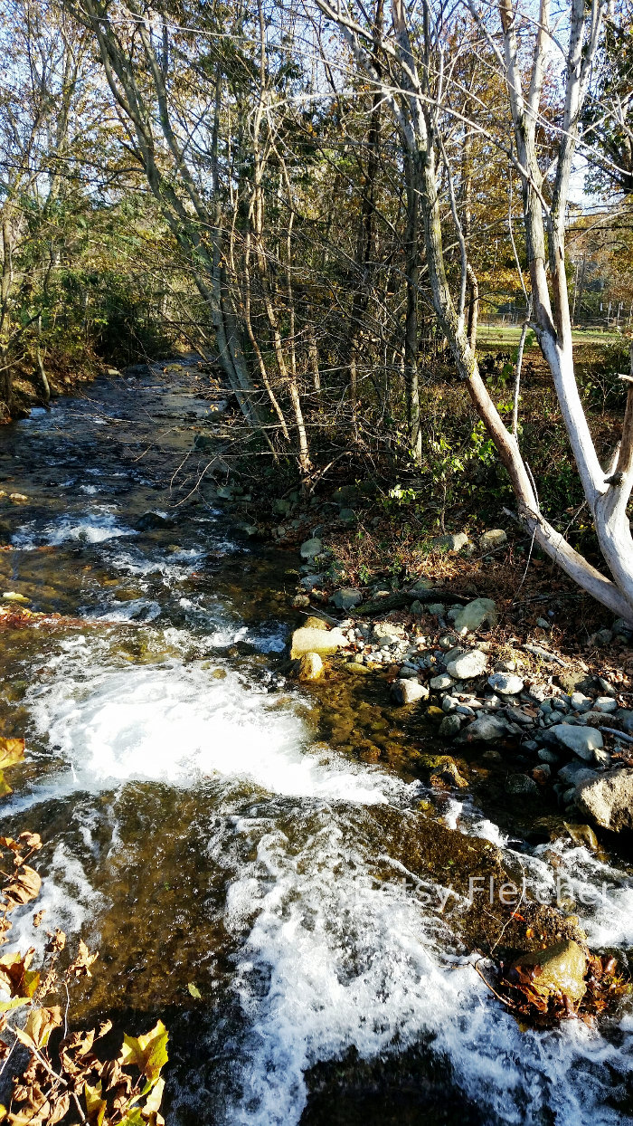 What passes for a river in Virginia