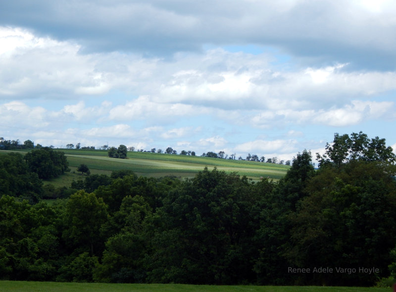 Farmland in Pen Argyl, PA