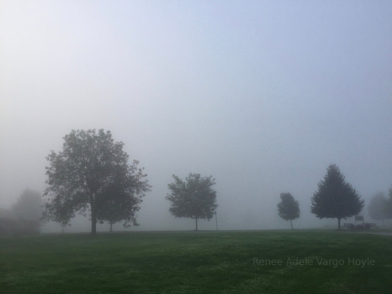 Foggy Morning in Pennsylvania