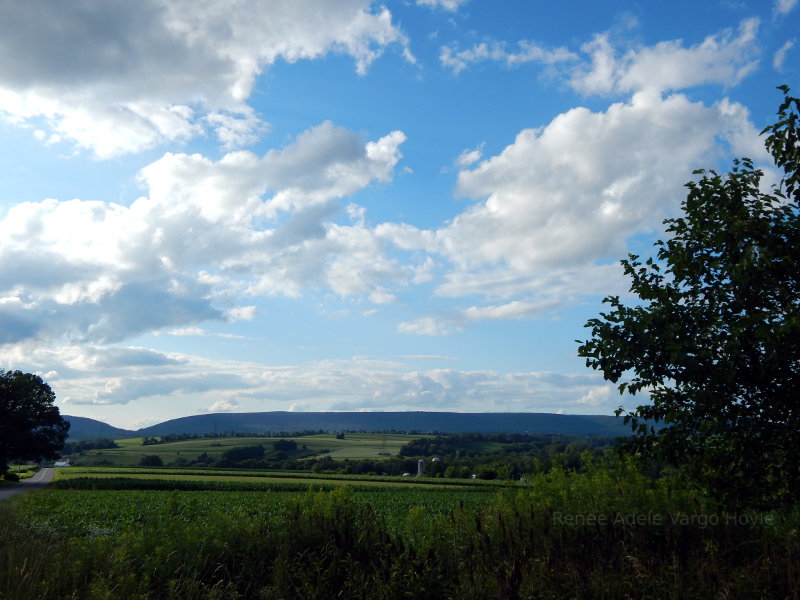 Blue Mountains in PA