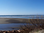 Beach in Washington State