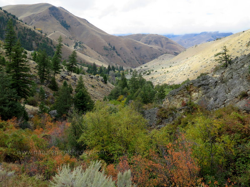 Creek in Idaho