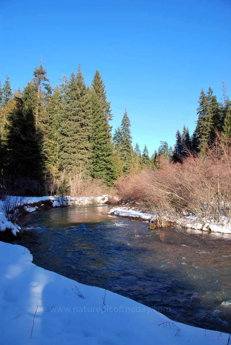 Mountain stream in the winter.
