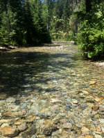 Mountain Montana stream in early summer