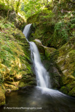 Dolgoch Falls in Wales, UK