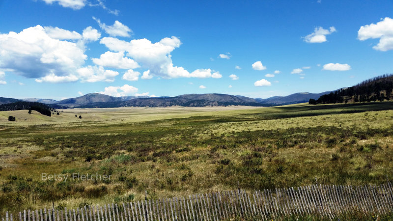 A beautiful scene in New Mexico