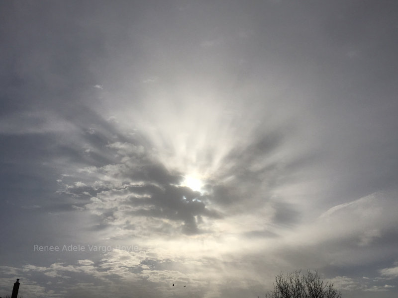 Sunlight in the morning in Nazareth, PA