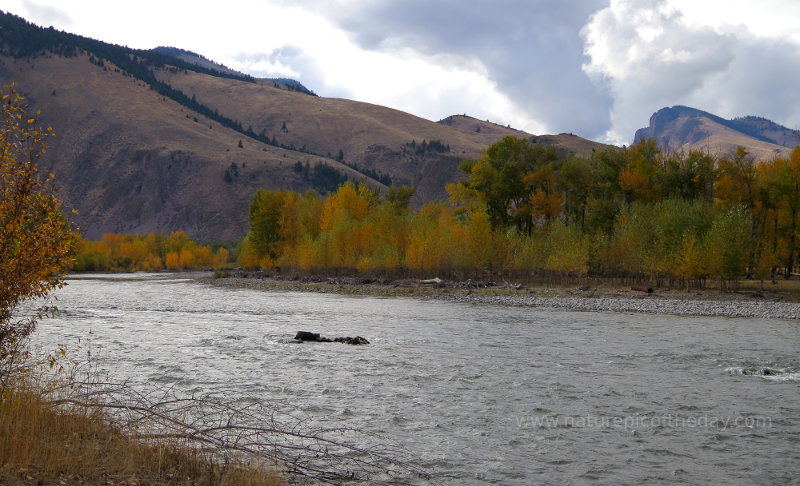 Salmon River