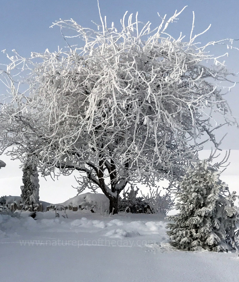 Snow in Idaho