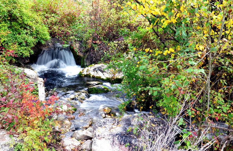 Waterfall on Warm Spring Creek in Idaho