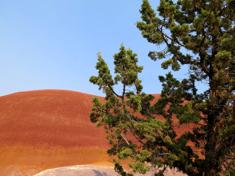 Red Hill in Oregon