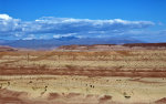 The Moroccan desert.