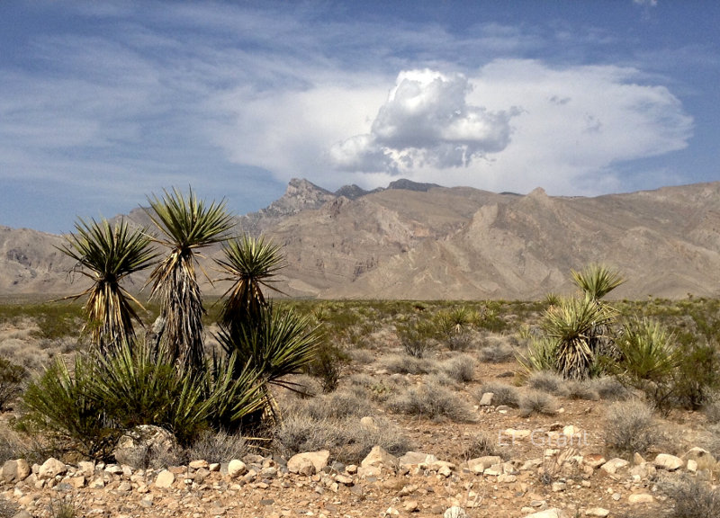 A desert storm approaches at the Mojave Desert in Nevada