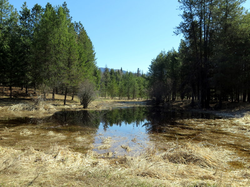 Spring runoff in Montana