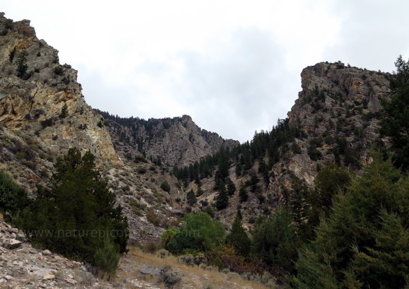 Crags, wilderness, in Idaho