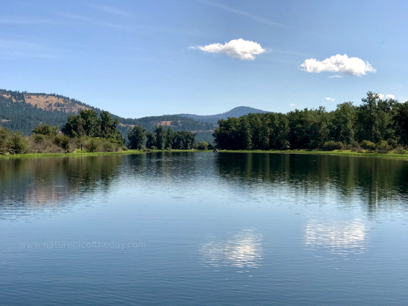 Shadowy Saint Joe River 